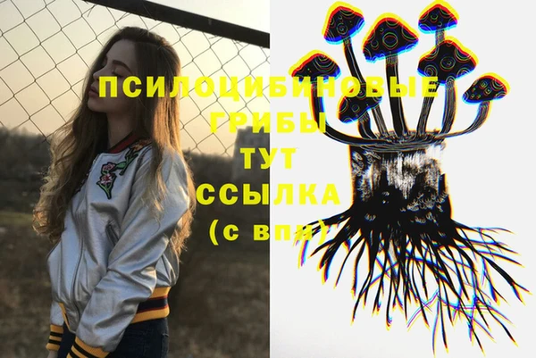 соль ск Арсеньев