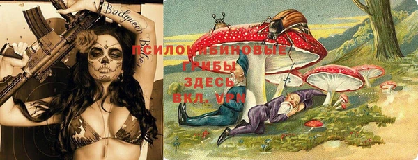 спайс Аркадак