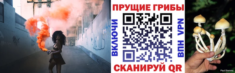 Галлюциногенные грибы мицелий  darknet какой сайт  Канаш 