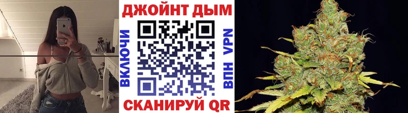 где продают   Канаш  Канабис планчик 